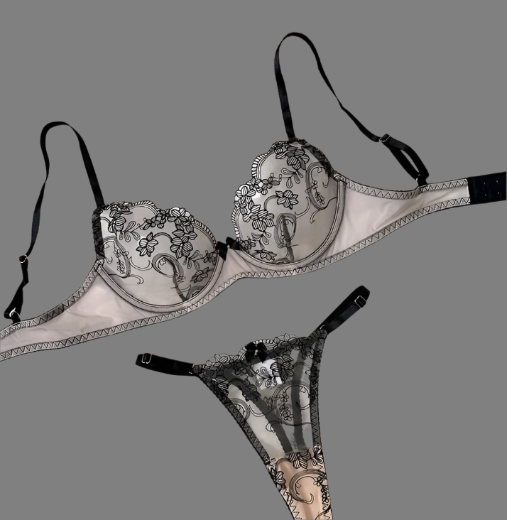 Aaliyah Elegant Lace Lingerie
